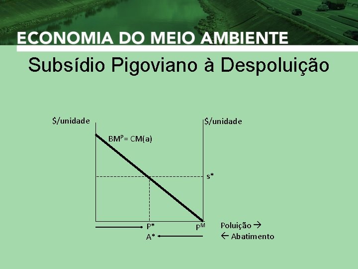 Subsídio Pigoviano à Despoluição $/unidade BMP= CM(a) s* P* A* PM Poluição Abatimento 