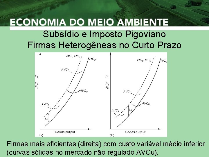 Subsídio e Imposto Pigoviano Firmas Heterogêneas no Curto Prazo Firmas mais eficientes (direita) com