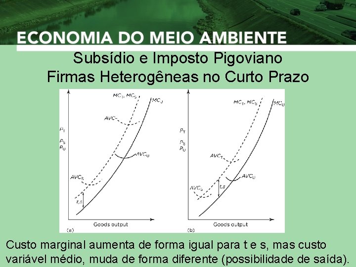 Subsídio e Imposto Pigoviano Firmas Heterogêneas no Curto Prazo Custo marginal aumenta de forma