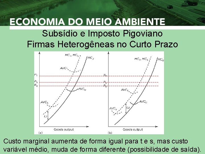 Subsídio e Imposto Pigoviano Firmas Heterogêneas no Curto Prazo Custo marginal aumenta de forma