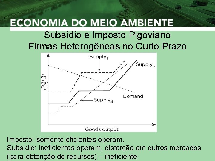 Subsídio e Imposto Pigoviano Firmas Heterogêneas no Curto Prazo Imposto: somente eficientes operam. Subsídio: