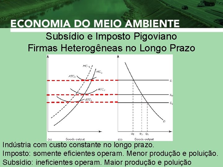 Subsídio e Imposto Pigoviano Firmas Heterogêneas no Longo Prazo Indústria com custo constante no
