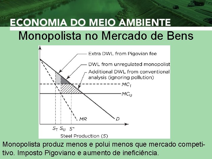 Monopolista no Mercado de Bens Monopolista produz menos e polui menos que mercado competitivo.