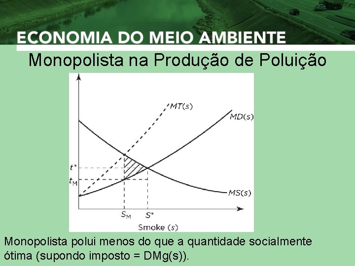 Monopolista na Produção de Poluição Monopolista polui menos do que a quantidade socialmente ótima