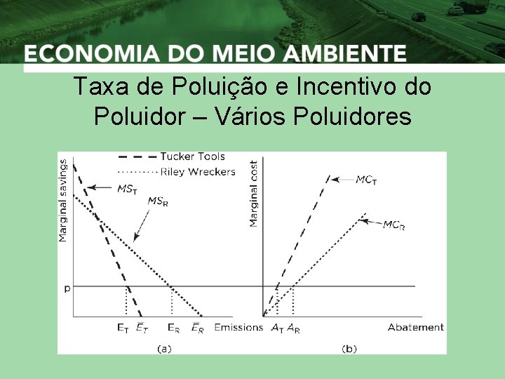 Taxa de Poluição e Incentivo do Poluidor – Vários Poluidores 