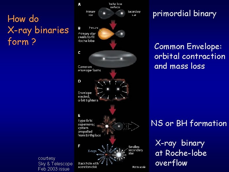 How do X-ray binaries form ? primordial binary Common Envelope: orbital contraction and mass