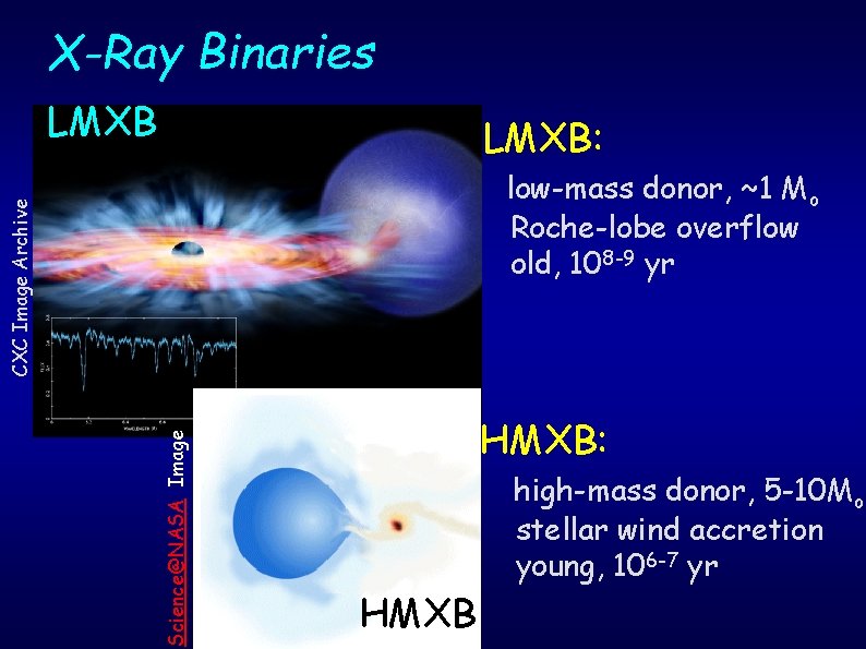 X-Ray Binaries LMXB: Science@NASA Image CXC Image Archive low-mass donor, ~1 Mo Roche-lobe overflow