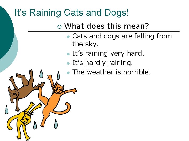 It’s Raining Cats and Dogs! ¡ What does this mean? l l Cats and
