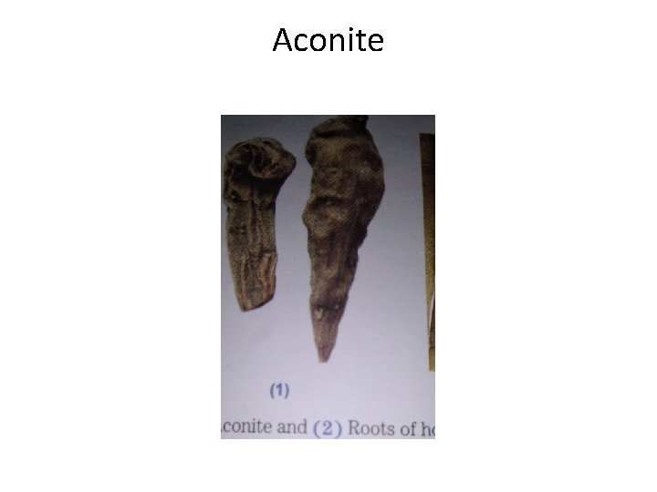 Aconite 