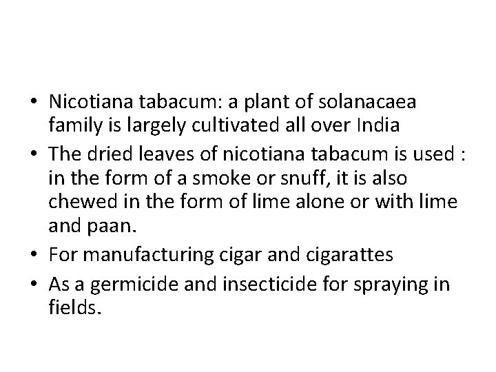  • Nicotiana tabacum: a plant of solanacaea family is largely cultivated all over