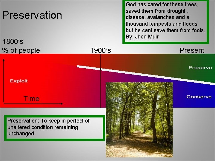 God has cared for these trees, saved them from drought , disease, avalanches and