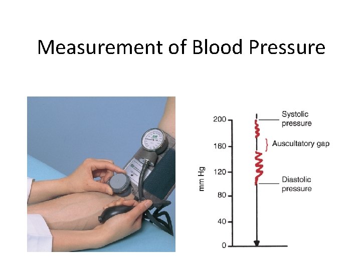 Measurement of Blood Pressure 