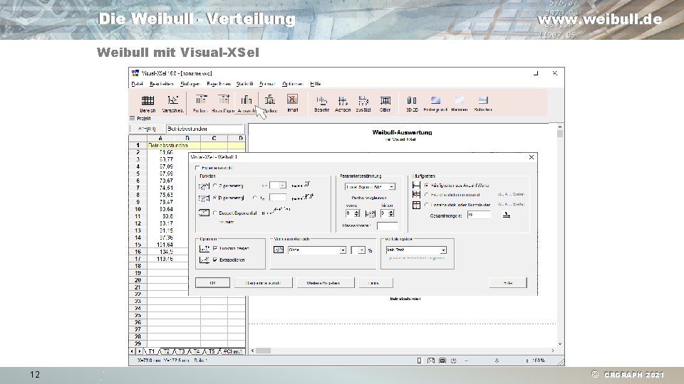 Die Weibull - Verteilung www. weibull. de Weibull mit Visual-XSel 12 © CRGRAPH 2021