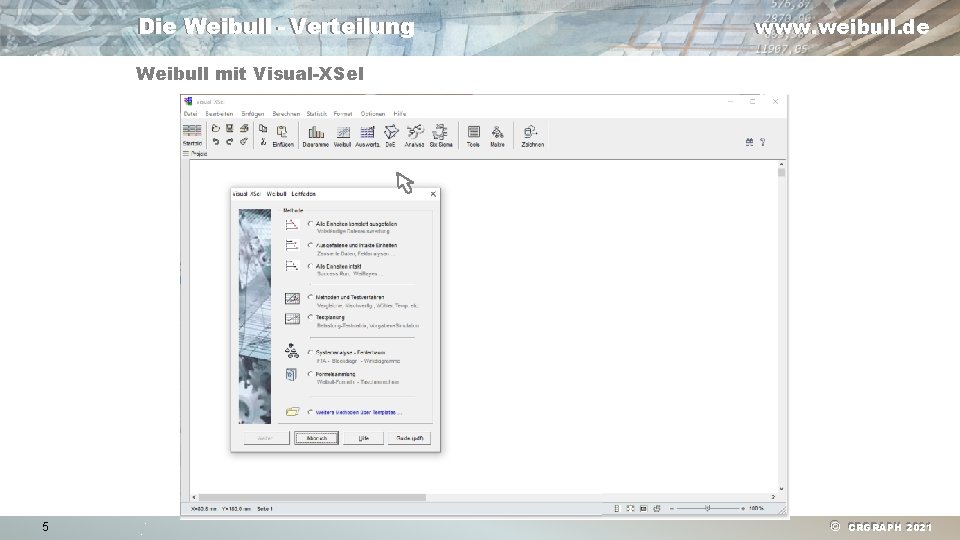Die Weibull - Verteilung www. weibull. de Weibull mit Visual-XSel 5 © CRGRAPH 2021