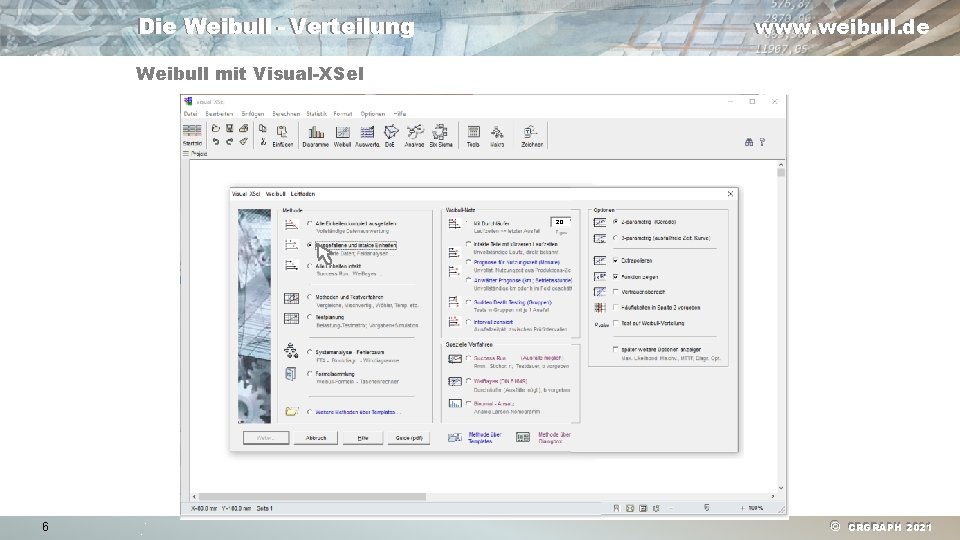 Die Weibull - Verteilung www. weibull. de Weibull mit Visual-XSel 20 6 Testumfang gesamt