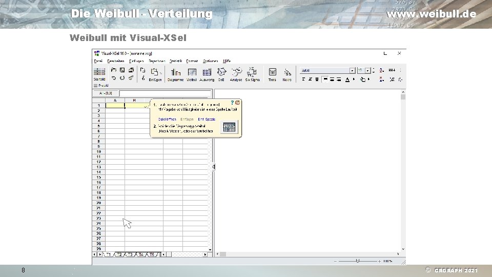 Die Weibull - Verteilung www. weibull. de Weibull mit Visual-XSel 8 © CRGRAPH 2021