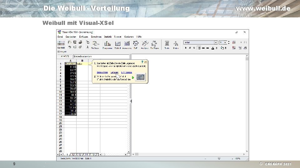 Die Weibull - Verteilung www. weibull. de Weibull mit Visual-XSel 9 © CRGRAPH 2021