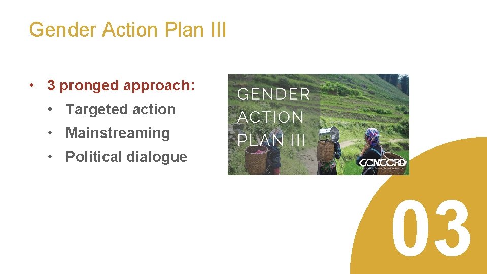 EU Gender Action Plan III Gender lunch briefing