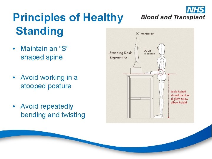 Principles of Healthy Standing • Maintain an “S” shaped spine • Avoid working in