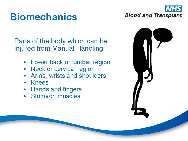 Biomechanics Parts of the body which can be injured from Manual Handling • •