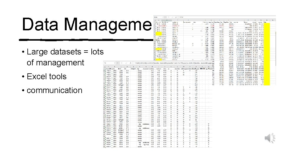 Data Management • Large datasets = lots of management • Excel tools • communication