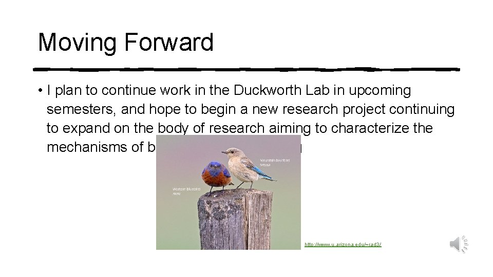 Moving Forward • I plan to continue work in the Duckworth Lab in upcoming