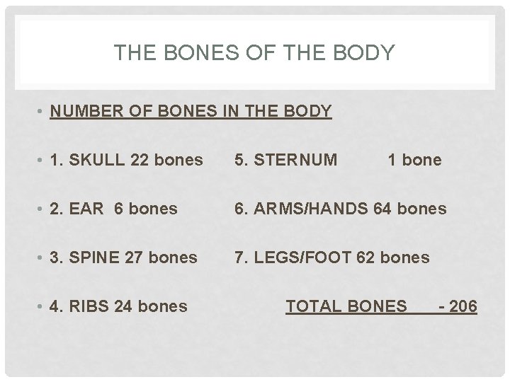 THE BONES OF THE BODY • NUMBER OF BONES IN THE BODY • 1.