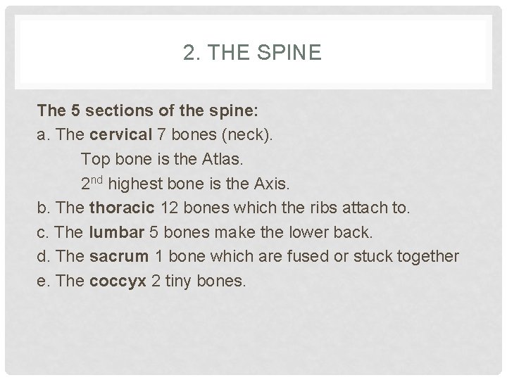 2. THE SPINE The 5 sections of the spine: a. The cervical 7 bones