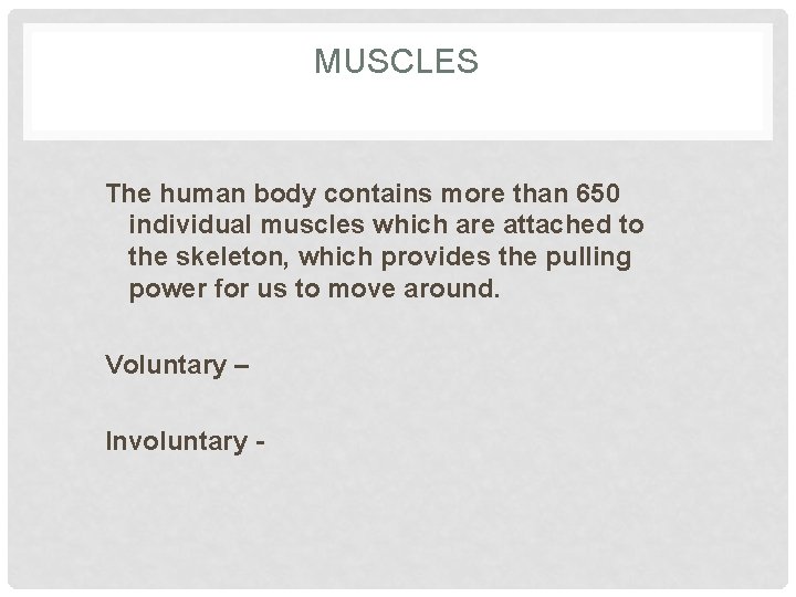 MUSCLES The human body contains more than 650 individual muscles which are attached to