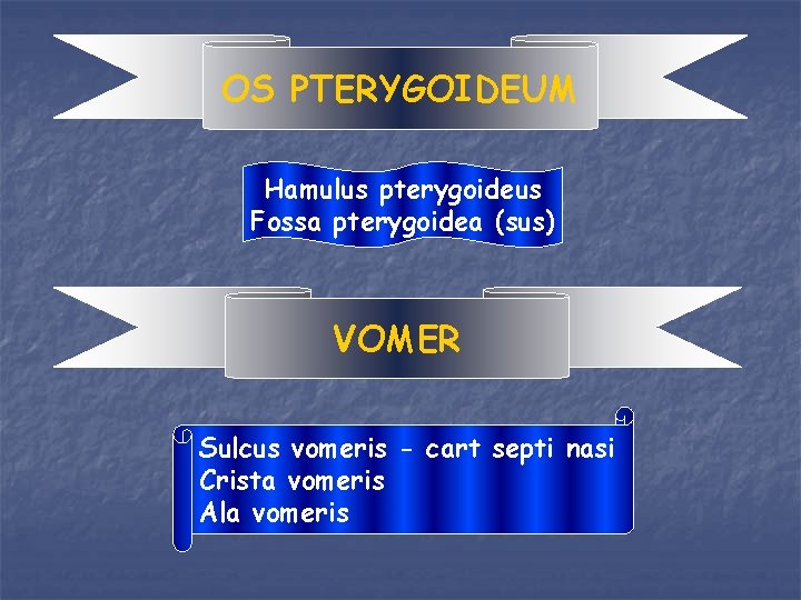 OS PTERYGOIDEUM Hamulus pterygoideus Fossa pterygoidea (sus) VOMER Sulcus vomeris - cart septi nasi