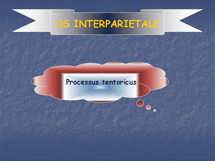 OS INTERPARIETALE Processus tentoricus 