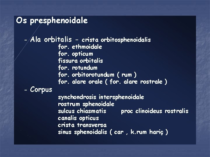 Os presphenoidale - Ala orbitalis - crista orbitosphenoidalis - Corpus for. ethmoidale for. opticum