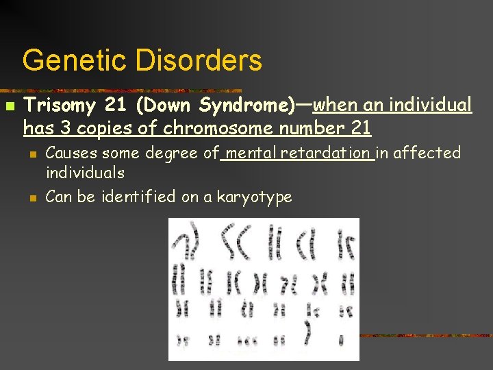 Genetic Disorders n Trisomy 21 (Down Syndrome)—when an individual has 3 copies of chromosome