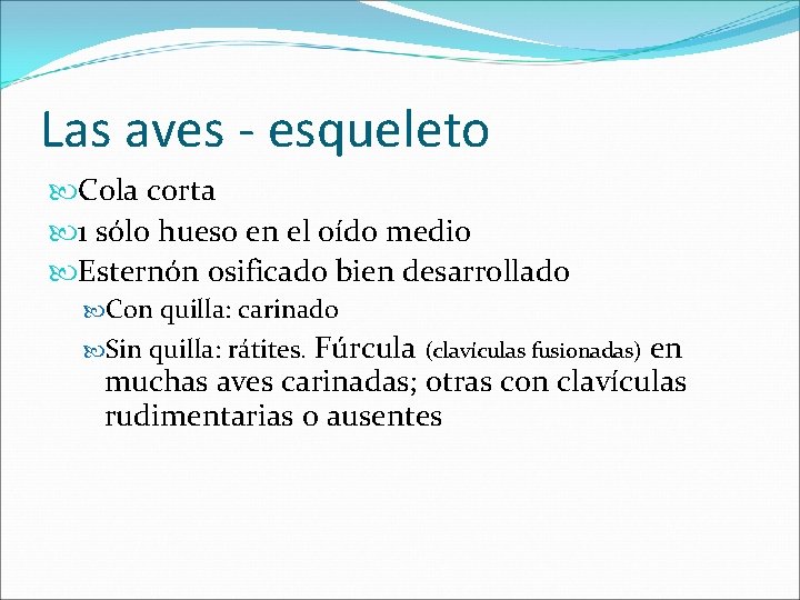 Las aves - esqueleto Cola corta 1 sólo hueso en el oído medio Esternón