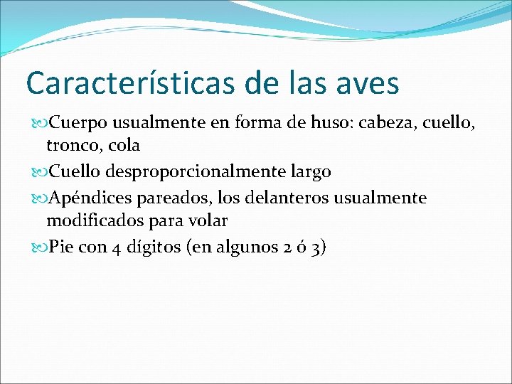 Características de las aves Cuerpo usualmente en forma de huso: cabeza, cuello, tronco, cola