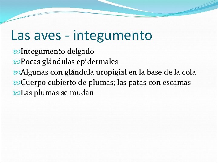 Las aves - integumento Integumento delgado Pocas glándulas epidermales Algunas con glándula uropigial en