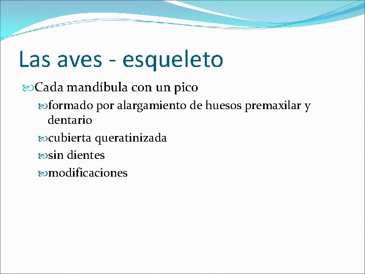 Las aves - esqueleto Cada mandíbula con un pico formado por alargamiento de huesos