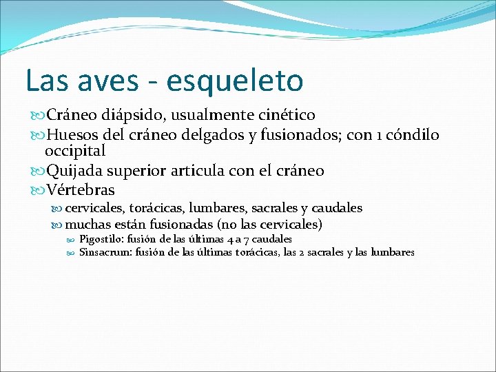 Las aves - esqueleto Cráneo diápsido, usualmente cinético Huesos del cráneo delgados y fusionados;