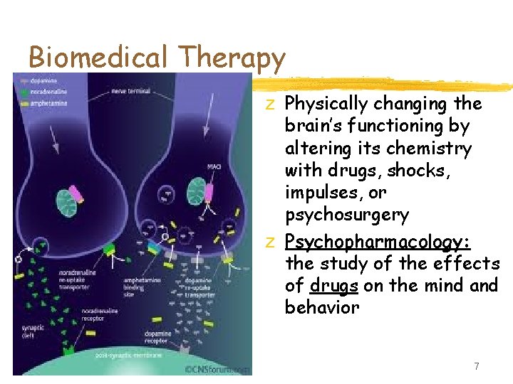 Biomedical Therapy z Physically changing the brain’s functioning by altering its chemistry with drugs,