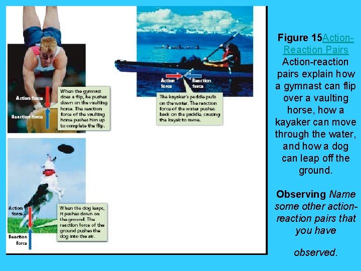 Figure 15 Action. Reaction Pairs Action-reaction pairs explain how a gymnast can flip over