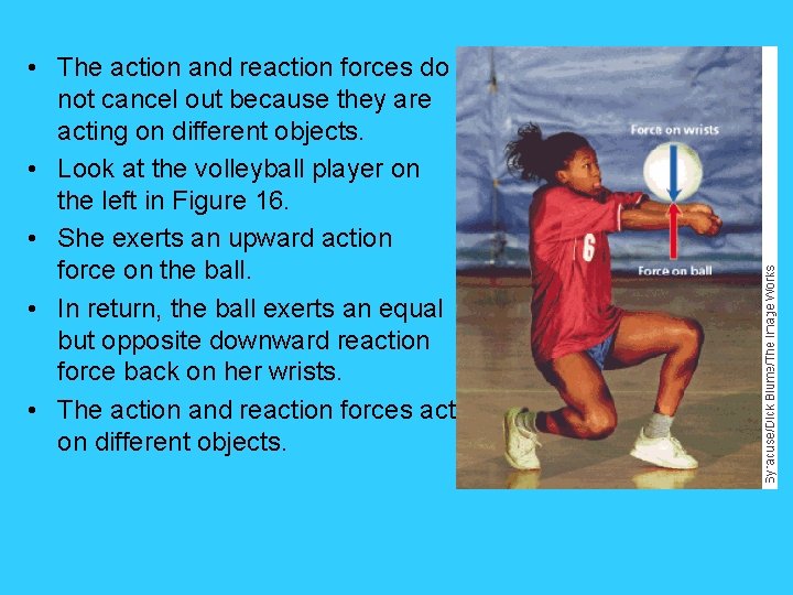  • The action and reaction forces do not cancel out because they are