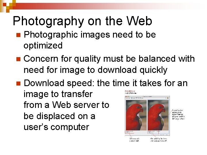 Photography on the Web Photographic images need to be optimized n Concern for quality