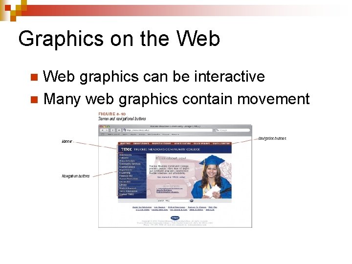 Graphics on the Web graphics can be interactive n Many web graphics contain movement