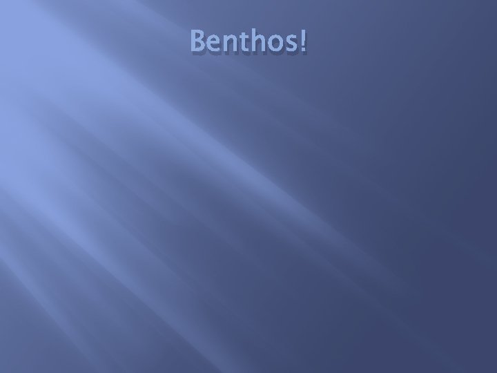 Benthos!  Benthos!