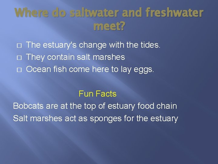 Where do saltwater and freshwater meet? � � � The estuary's change with the Where do saltwater and freshwater meet? � � � The estuary's change with the