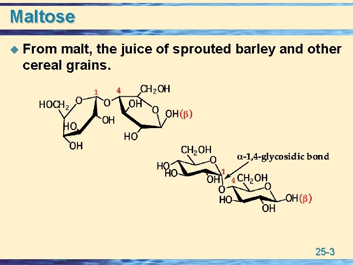 Maltose u From malt, the juice of sprouted barley and other cereal grains. 25
