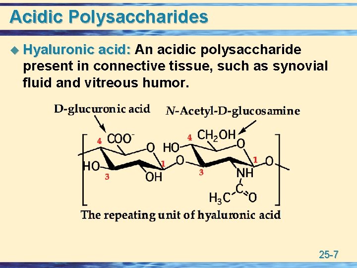 Acidic Polysaccharides u Hyaluronic acid: An acidic polysaccharide present in connective tissue, such as