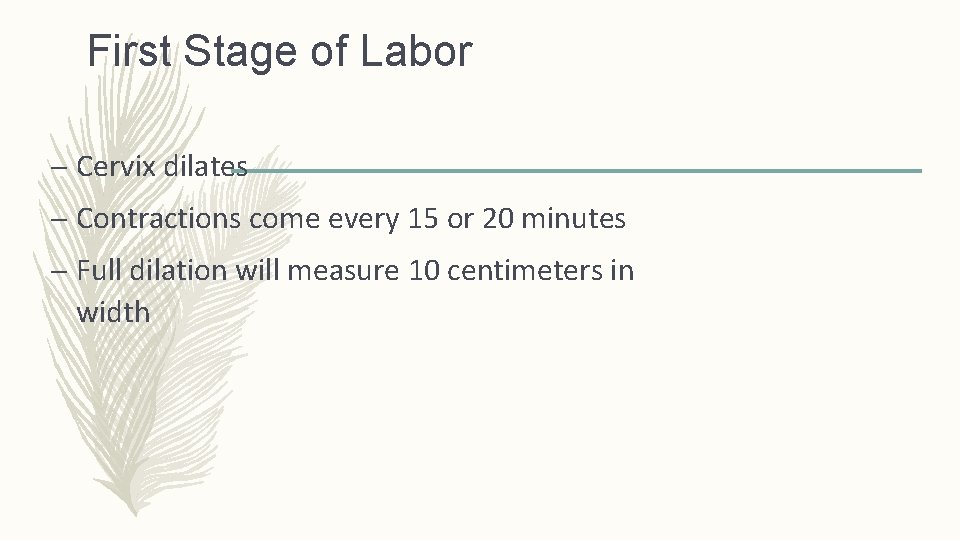 First Stage of Labor – Cervix dilates – Contractions come every 15 or 20