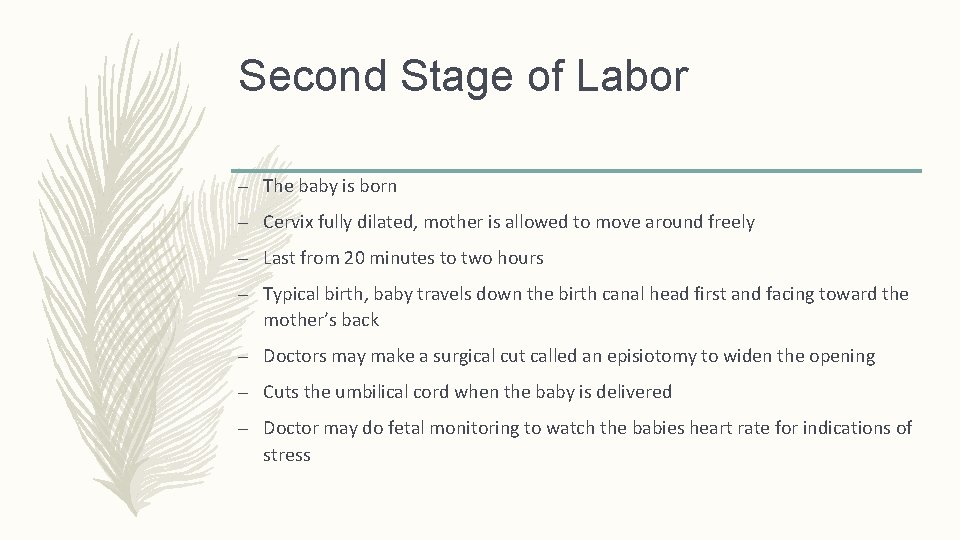 Second Stage of Labor – The baby is born – Cervix fully dilated, mother