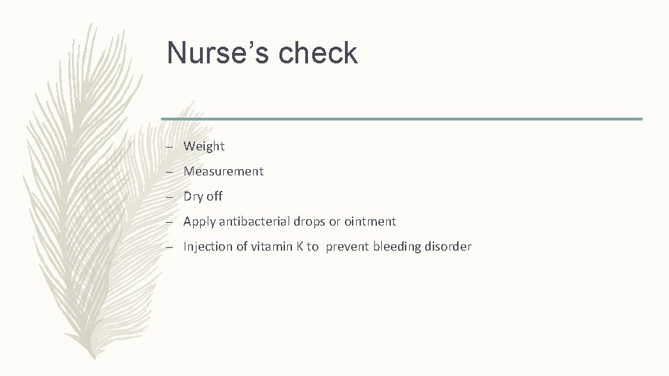 Nurse’s check – Weight – Measurement – Dry off – Apply antibacterial drops or